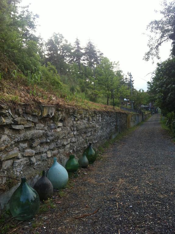 Villa Gioia Acqui Terme Exterior foto